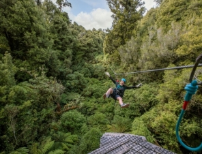 flying over trees